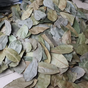 ใบกริโอลาตากแห้งแบบธรรมชาติ100% | 2024ส่งออกใบชาระดับพรีเมี่ยม - Product Image 1