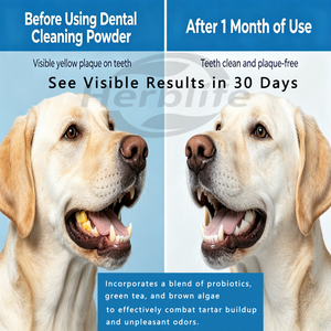 Polvo de Limpieza Dental para Mascotas Herblife de Marca Privada OEM, 5.29 oz, Polvo de Limpieza Bucal para Perros y Gatos - Product Image 4
