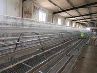Nouvelle cage à poulets galvanisée à chaud à longue durée de vie, 4 niveaux, capacité de 96 à 160 oiseaux, équipement d'élevage avicole automatique, poulailler