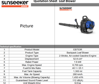 Souffleur à dos à essence EB753R de qualité industrielle, 1,9 kW, 52,8 cm³, 2 temps, vitesse maximale de l'air de 280 km/h, certifié CE pour