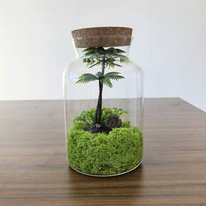 Terarium Kaca Mini DIY dengan Lanskap Hutan, Tutup Gabus Kayu, dan Lampu LED untuk Dekorasi Meja - Product Image 6