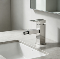 Robinet Mitigeur Bidet Moderne en Acier Inoxydable Chromé, Monocommande, à Poser sur Plan, avec Cartouche Céramique