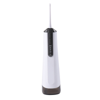Irrigador bucal recargable IPX7 profesional, hilo dental impermeable, dispositivo de limpieza de dientes de mano, OEM ODM