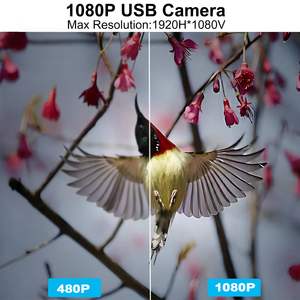 Caméra USB 1080P <span class=keywords><strong>Surveillance</strong></span> 1/1.8\" SmartSens SC2210 <span class=keywords><strong>Webcam</strong></span> Faible Éclairage 0.0001Lux H.264 Sécurité Mini Caméra PC - Product Image 3