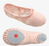 Chaussures de danse de Ballet en toile professionnelle femmes ballerine pantoufles de danse plates femmes chaussure de Ballet pour dame danse compétition et pratique