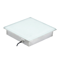 Lumière de pavé LED carrée de qualité supérieure imperméable à l'eau durable lueur dans le noir carreaux de sol IP67 pour une utilisation extérieure Premium
