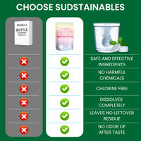 Tablettes de nettoyage pour bouteilles écologiques et biodégradables CE, tablettes de nettoyage pour bouteilles d'eau en acier inoxydable