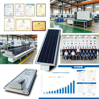 Lámpara Solar LED para Calle Chino WS-30W de 30W, DC, IP65 Impermeable, de Aluminio, con Sensor de Movimiento, Control por Aplicación/Remoto, para Carreteras, con Batería