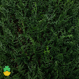 3ft UV bảo vệ cây nhân tạo trong chậu bảo trì thấp cho trong nhà ngoài trời giáng sinh trang trí nội thất - Product Image 5