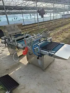 Máquina de siembra de semillas automática para sembradora de bandeja de enchufe de plántulas