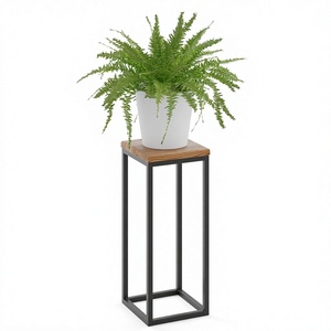 Support de Plantes Moderne en Fer Galvanisé, Léger et Durable, avec Trou de Drainage, Écologique, pour Présentoir de Meubles Domestiques - Product Image 2