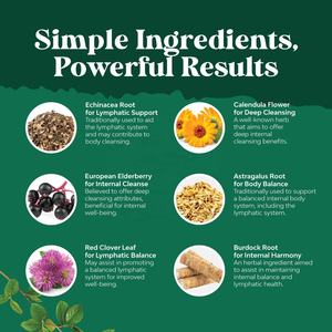 Oem Private Label Lymfedrainage Support <span class=keywords><strong>Drops</strong></span> Lymfatische Reiniging Vloeibare Druppels Voor Immuunondersteuning Met Echinacea & Vlierbes - Product Image 4