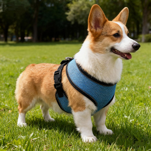 Correa para Perro, Correa de Pecho para Pasear Perros al Aire Libre en Verano, Anti-escape, Cierre de Hebilla Extensible, para Perros Pequeños - Product Image 1