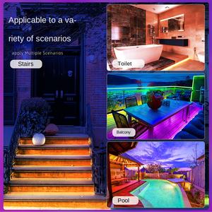 Venta al por mayor 5050 Smart Strip Lights 12V 5M Outdoor Flexible LED Light Strip con clasificación IP65 Cuerpo de PVC para TV y Hotel - Product Image 4