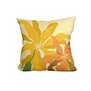 Factory Direct Personalized Printed Luxury Customized Flower Pillowcase sofa decorative seat cushion cover & pillow case