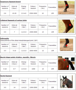 Machine à ondes de choc à applications vétérinaires pour centre médical pour animaux - Product Image 4