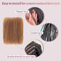 Cheveux Humains 100% Afro Kinky en Vrac, Trame Simple pour Torsades, Tresses, Réparation de Locs, Extensions Dreadlock 10-12 Pouces 30 Grammes Couleur 30