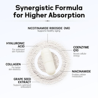 Capsules de suppléments NAD+ pour femmes, NR Niacinamide, stimulant l'énergie cellulaire, pilules anti-âge pour la peau, bien-être, livraison directe 3PL, expédition discrète