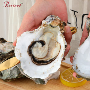 Accessori per la cucina in acciaio inox all'ingrosso strumenti per l'<span class=keywords><strong>apertura</strong></span> <span class=keywords><strong>ostriche</strong></span> e crostacei in metallo coltello per <span class=keywords><strong>ostriche</strong></span> - Product Image 3