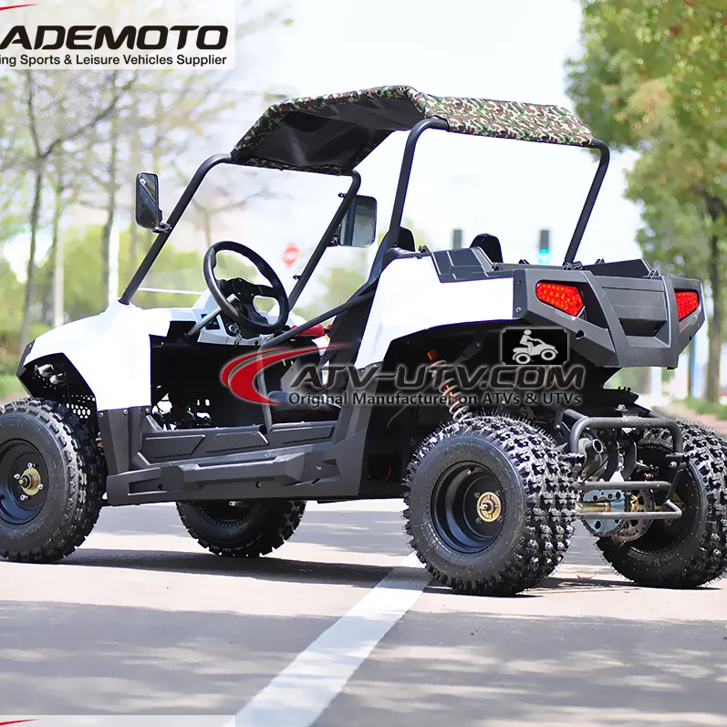 UTV — UTV Diesel, 12000 cc, pour animaux de ferme, 4x4, Diesel