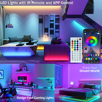Bandes lumineuses LED décoratives d'extérieur 12V 5050 RGB, kit de 5 m, éclairage flexible, bande LED Cinta