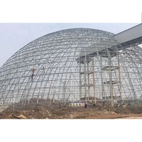 Dôme de stockage de charbon à grande portée en structure spatiale en acier galvanisé standard durable pour centrale électrique
