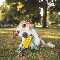 Jouets à mâcher interactifs pour chiens en TPR de haute qualité, indestructibles et durables, en forme de maïs mignon, avec brosse à dents et jouet sonore pour animaux de compagnie