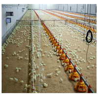 Entrepôt de poulets de chair de structure métallique de conception moderne pour l'application de ferme