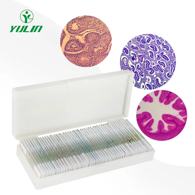 Teaching resources primary and secondary schools Factory High quality reduction mitosis histology prepared slides set