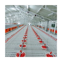 Nouvel équipement avicole MT MT-F : Système d'alimentation automatique pour volailles (poulets, canards) et gestion des lignes au sol
