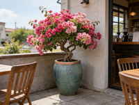 Pots en céramique pour plantes, sur mesure, grands, modernes, durables, pour la plantation de fleurs, de arbres dans les jardins et les parcs