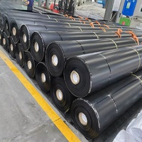 Bâche en HDPE pour barrage, rouleau de 15 mm, membrane anti-infiltration haute épaisseur pour l'ingénierie hydraulique