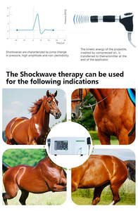 وضع بيطري مزدوج لتخفيف آلام الحيوانات وإعادة تأهيلها أو تخفيف آلام الحيوانات وإعادة تأهيلها - Product Image 6