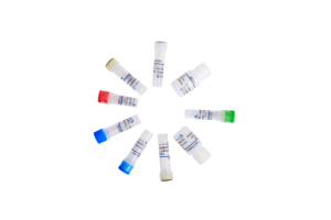 클루젠느 단일클론항체 헤모글로빈-mAb 연구용 원료 - Product Image 2