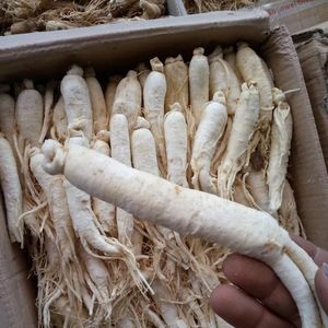 HUARAN <span class=keywords><strong>Ginseng</strong></span> Atacado Puro Açúcar Natural <span class=keywords><strong>Ginseng</strong></span> Raiz Ervas chinesas <span class=keywords><strong>Ginseng</strong></span> Branco Seco - Product Image 5
