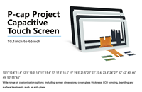 Nuevo panel táctil capacitivo proyectado de 13,3 "con controlador de chip EETI Illitec USB e interfaz en serie PCAP gratis