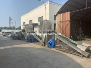 DZJX otomatik Sus304 meyve ve sebze işleme hattı temizleme makinesi Shandong sebze kabarcık çamaşır makinesi fiyat