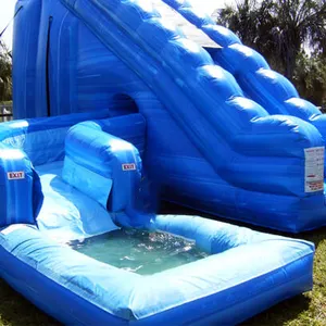 Commercial Manufacturer Inflatable Dry Pool Water Slide