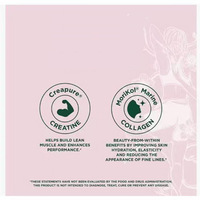 OEM/ODM Créatine Collagène en Sachets Goût Punch Hawaïen pour la Peau, les Articulations, la Récupération et la Force Musculaire – 20 Unités