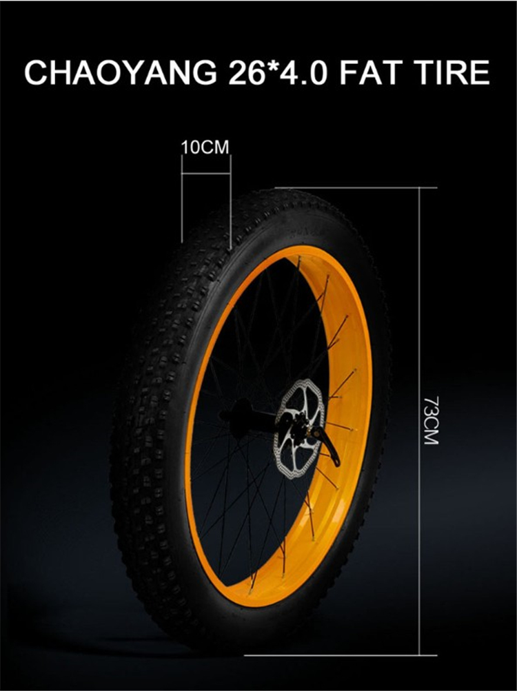 Powerful 1000W motor Electric bike MTB