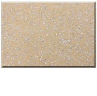 Offre Spéciale : Grande Dalle de Marbre Vert Terrazzo Frais – Design Moderne et Durable pour Revêtements de Sol et Murs