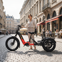 Tricycle électrique Bafang avec deux batteries au lithium de 40 Ah, cadre en acier, type carrosserie ouverte, capteur de couple, modèle Step-Thru