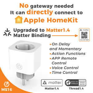 Vấn đề trên chủ đề thông minh cắm Ổ cắm EU 16A 3680W thông minh cắm ứng dụng điều khiển bằng giọng nói điều khiển thời gian - Product Image 2