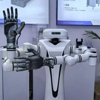 Carga útil de mano mecánica inteligente 10kg Robot móvil diestro Robot humanoide dedicado Robot colaborativo
