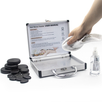 Boîte chauffante pour pierres chaudes, pour usage professionnel ou domestique, 110V 220V, chauffage sans eau