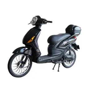 EEC certificate Top quality brand new high speed electric modes with front rear disc brake 350W electric scooter bike