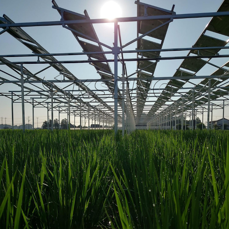 1MW PV Farm Solar Energy System Agriculture Solar Farm Ground Mounting System Solar Farm Structure System · image 4