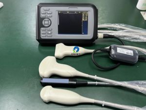 Échographe vétérinaire portable de haute qualité EUR VET sans sondes pour clinique - Product Image 2