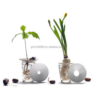 Macetas <span class=keywords><strong>de</strong></span> Germinación para Aguacates, Bellotas, Legumbres y Nueces, Soporte para Plantas, Macetas <span class=keywords><strong>de</strong></span> Hidroponía para Semillas <span class=keywords><strong>de</strong></span> Aguacates y Bellotas - Product Image 1