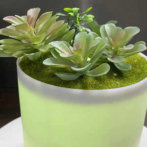 Baru 400ML Tanaman Hijau <span class=keywords><strong>Humidifier</strong></span> Udara Penyebar Aroma Minyak Esensial Ultrasonik Diffuser Minyak Tanaman Simulasi untuk Rumah Kantor - Product Image 4